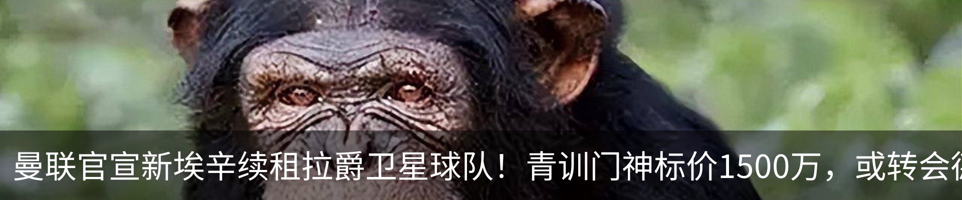 行业资讯