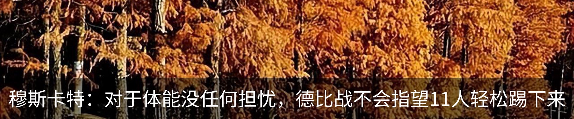 行业资讯
