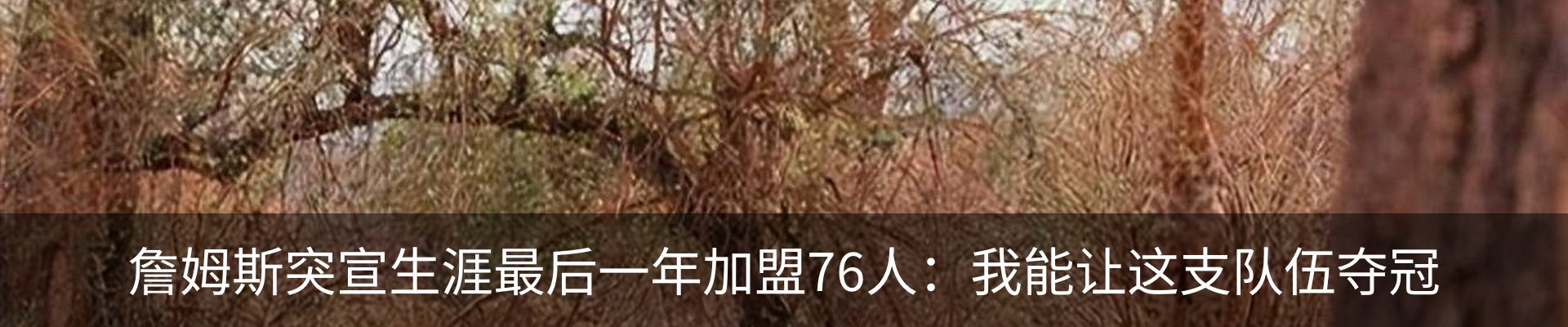 行业资讯